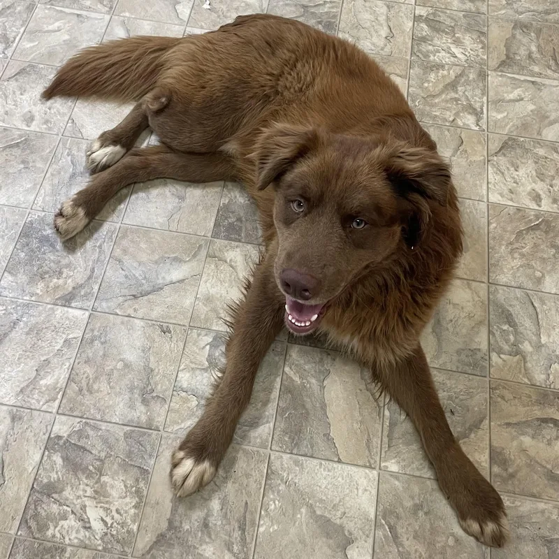 Cutie Pie thumbnail 3