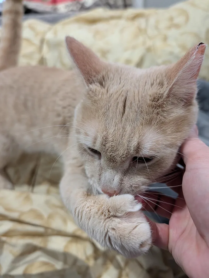Sandy Baltimore thumbnail 4