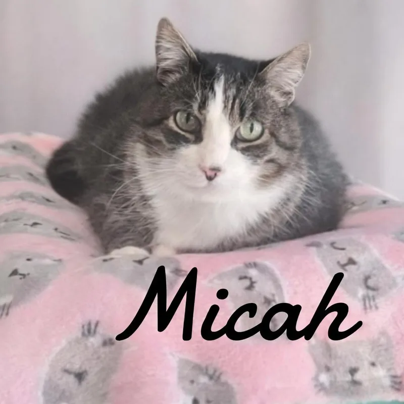Micah thumbnail 2