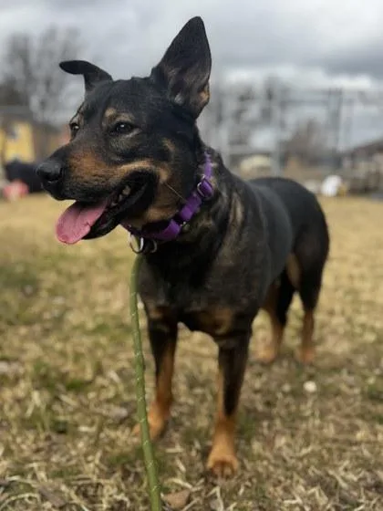 Maricela thumbnail 2