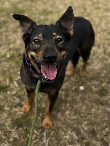 Maricela thumbnail 3