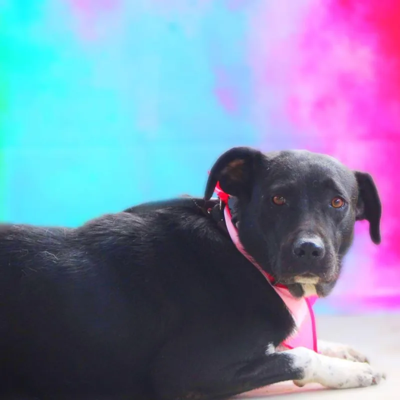 Starla Jum thumbnail 2