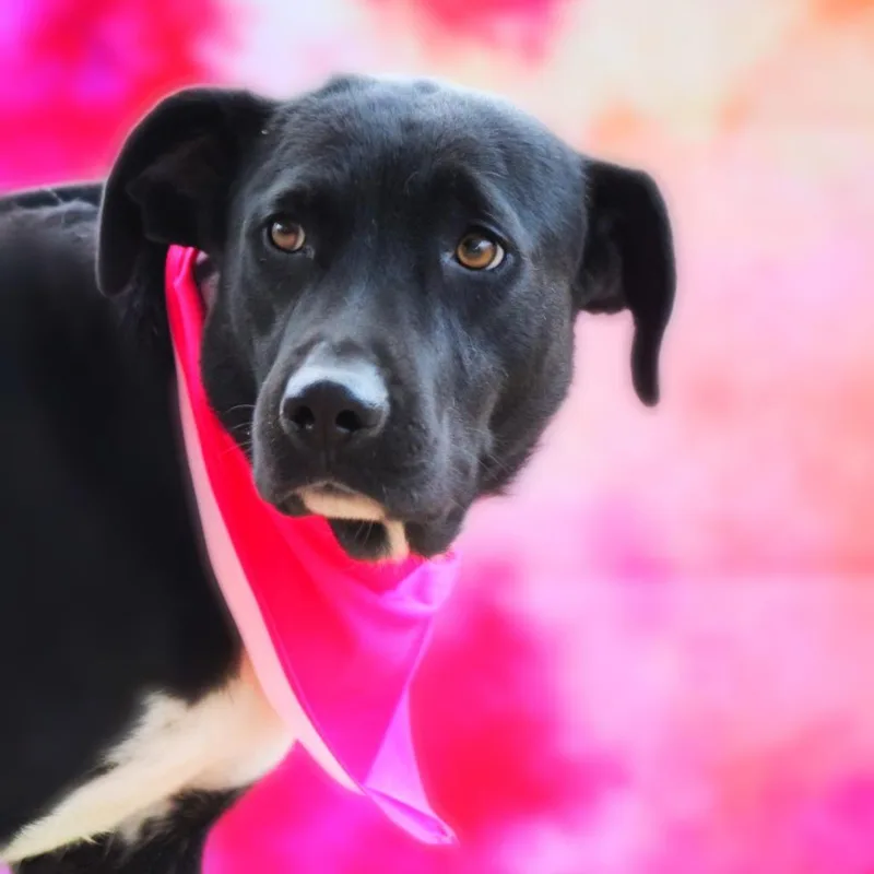 Starla Jum thumbnail 3