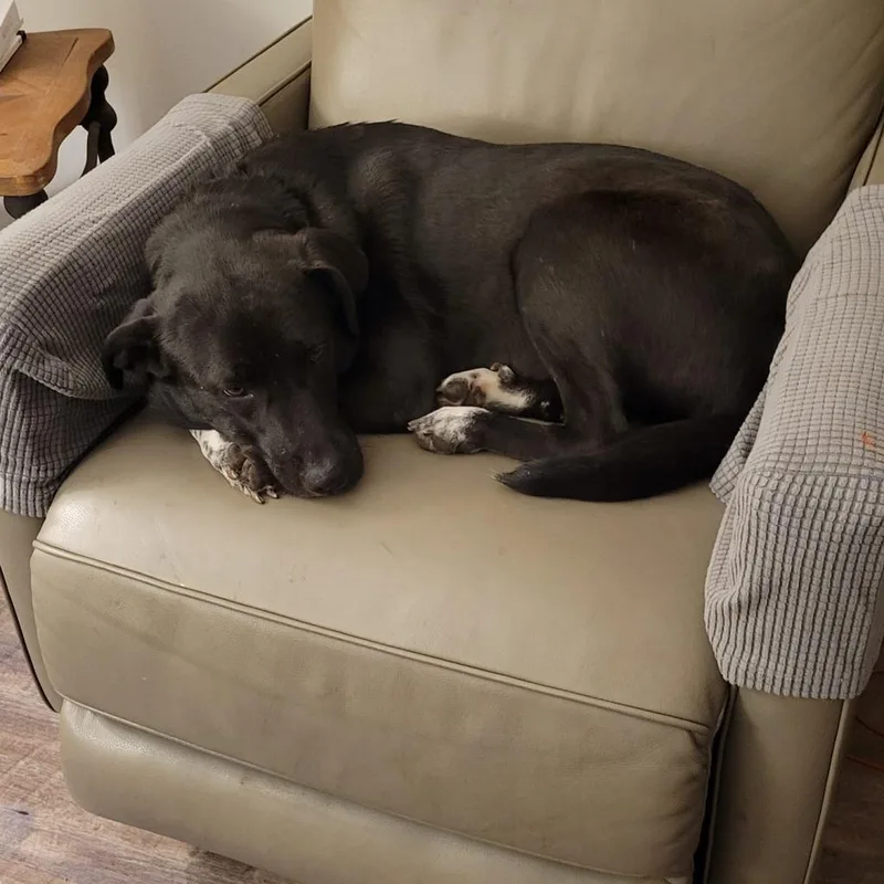 Starla Jum thumbnail 4