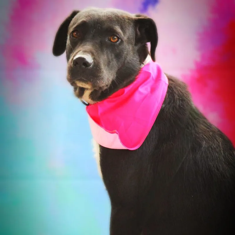 Starla Jum thumbnail 5