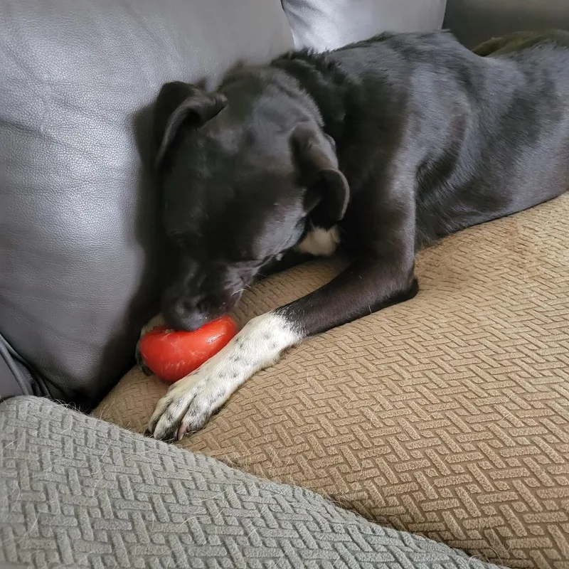 Starla Jum thumbnail 6