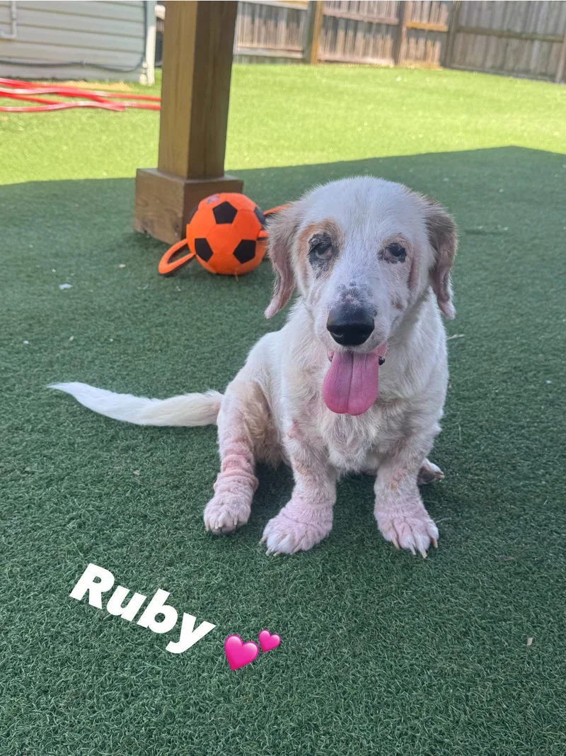 Ruby