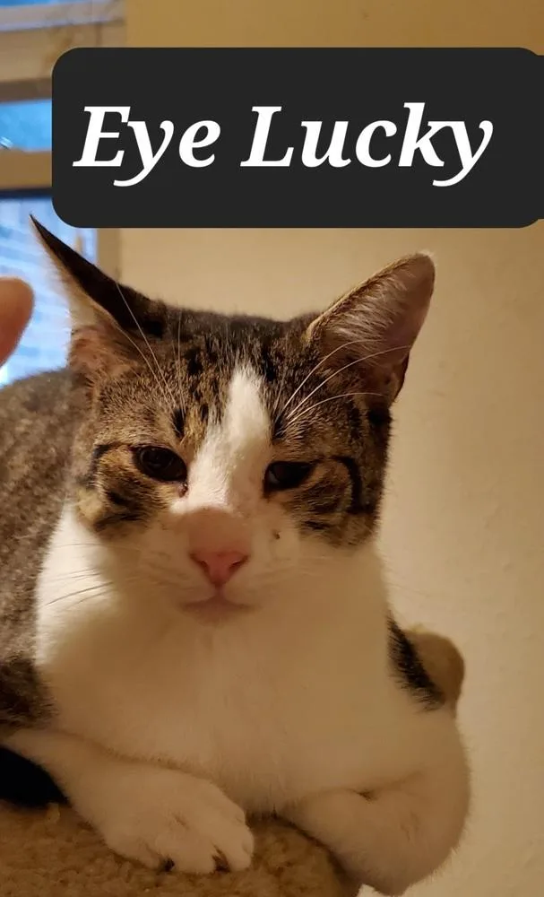 Eye Lucky thumbnail 2