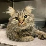 Fluff  Butler Campus thumbnail 2