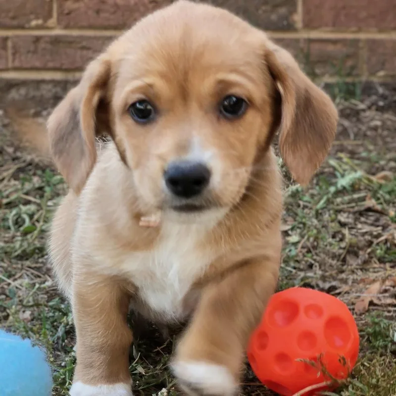 Sonny thumbnail 3