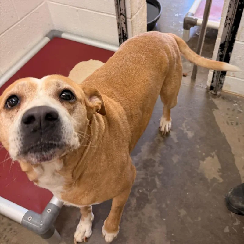 Little Girl thumbnail 2