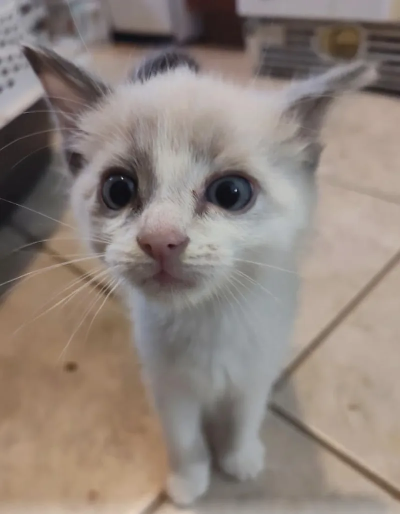 Spokane And Sarasota thumbnail 5