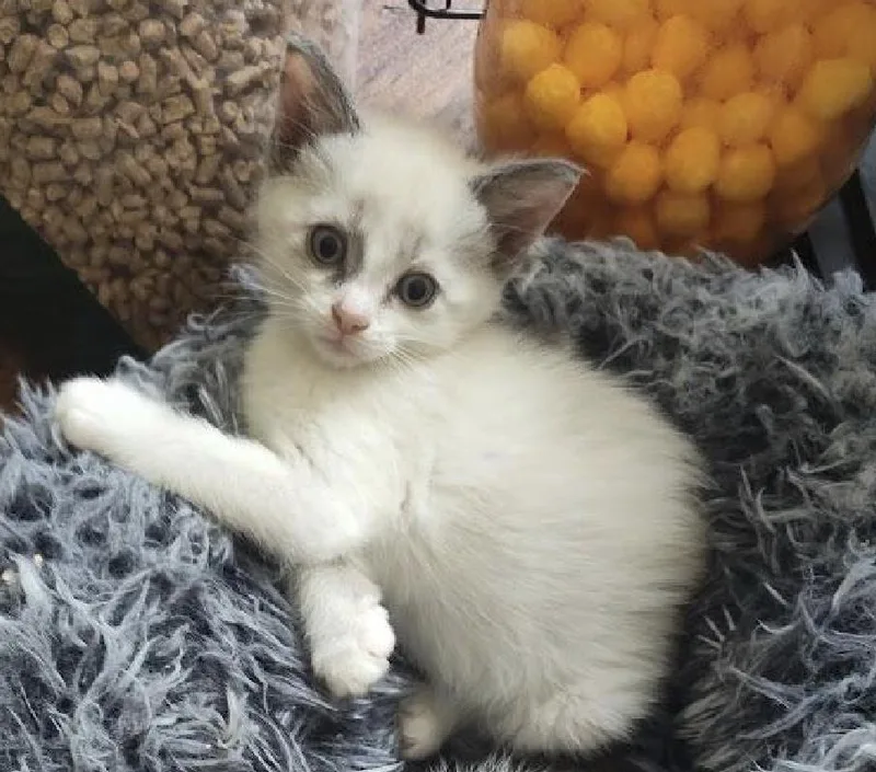 Spokane And Sarasota thumbnail 6