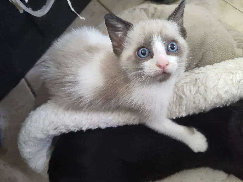 Spokane And Sarasota