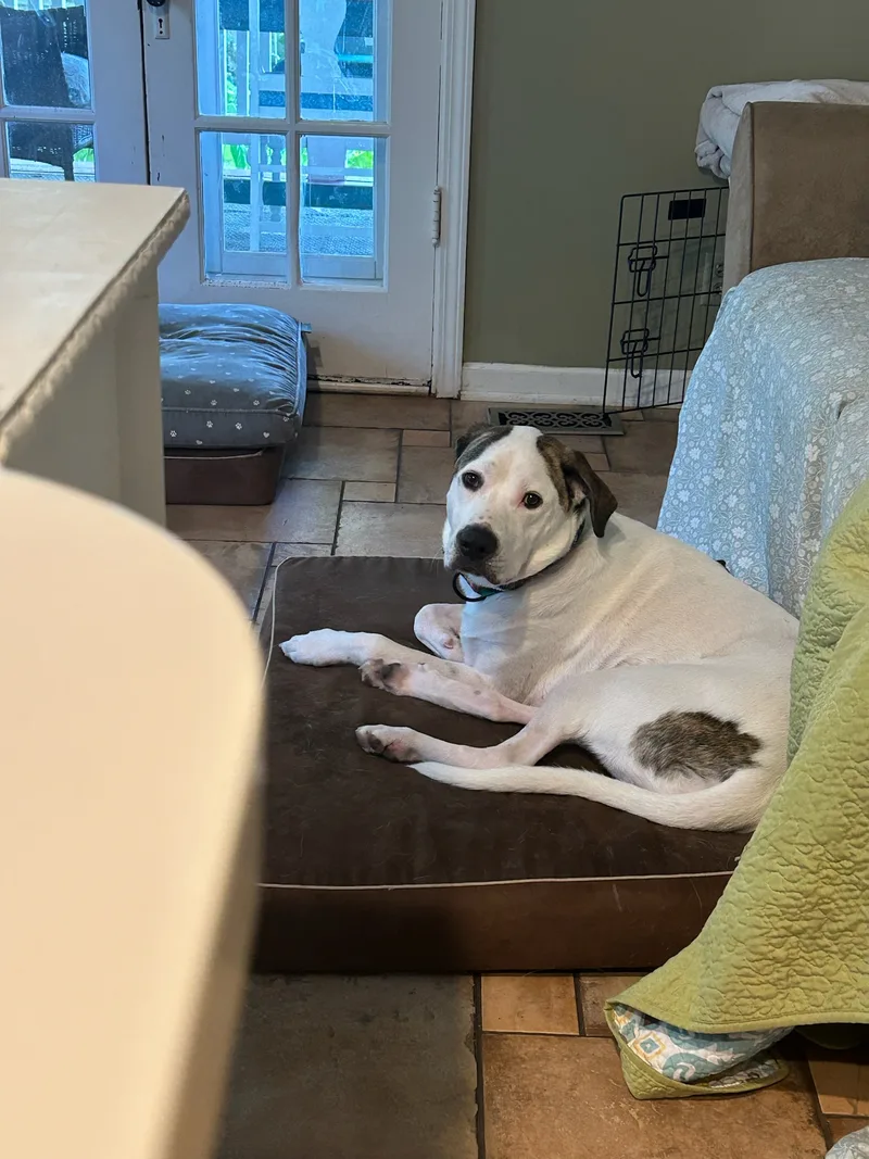 Vinnystabler thumbnail 2