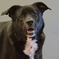 Tilly thumbnail 3