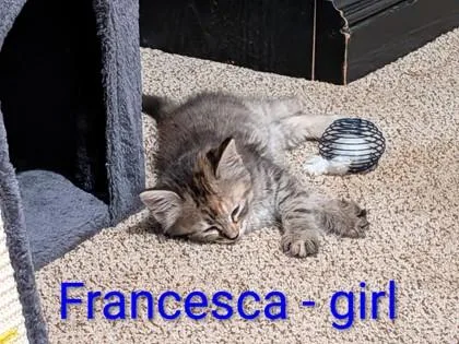 Francesca thumbnail 3
