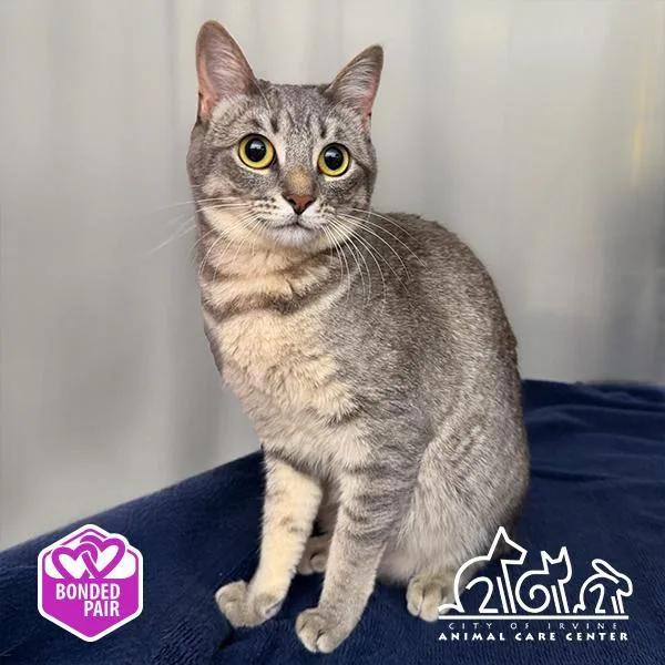 Bella