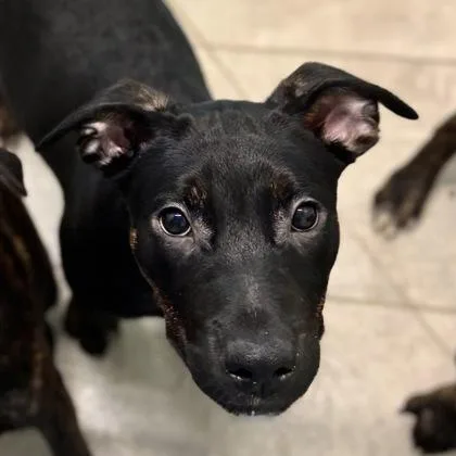 Samantha thumbnail 2