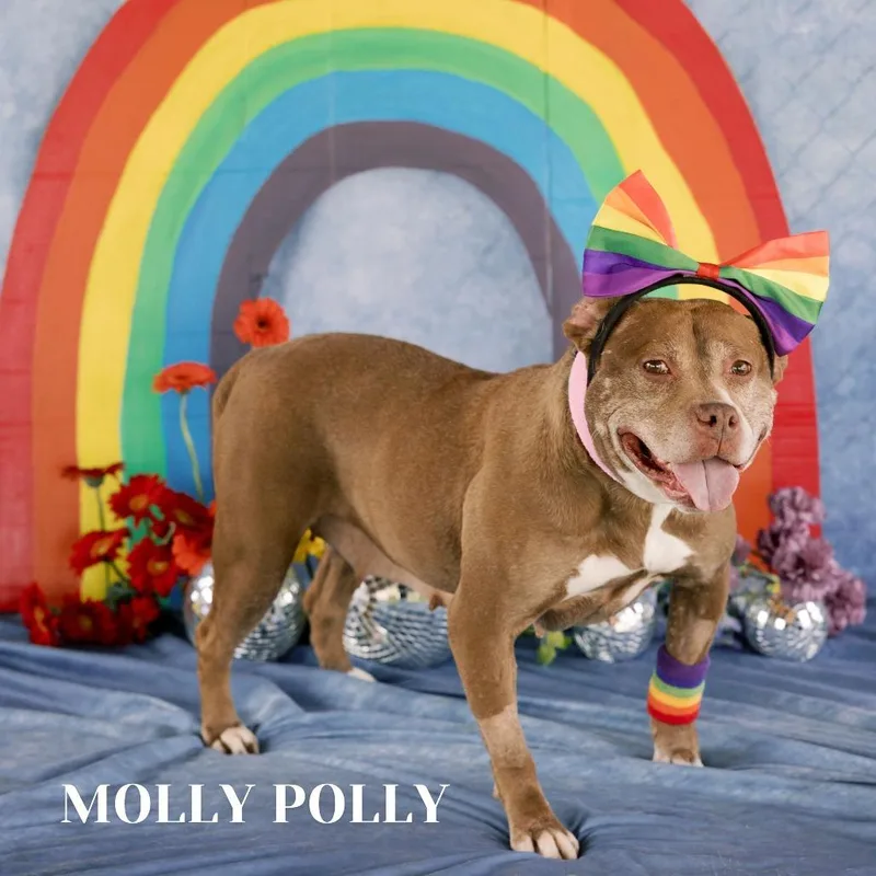 Molly Polly thumbnail 2