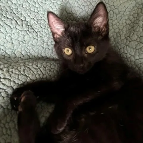 Nina thumbnail 3