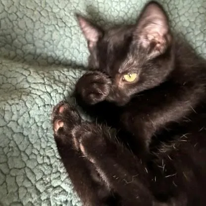 Nina thumbnail 4