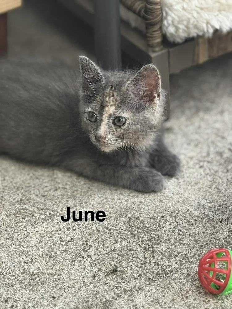June