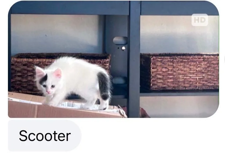Scooter