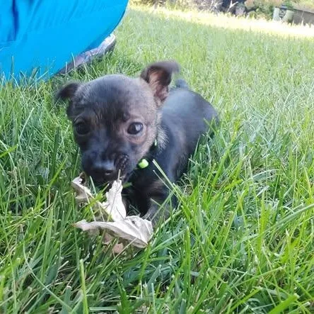 Tucker