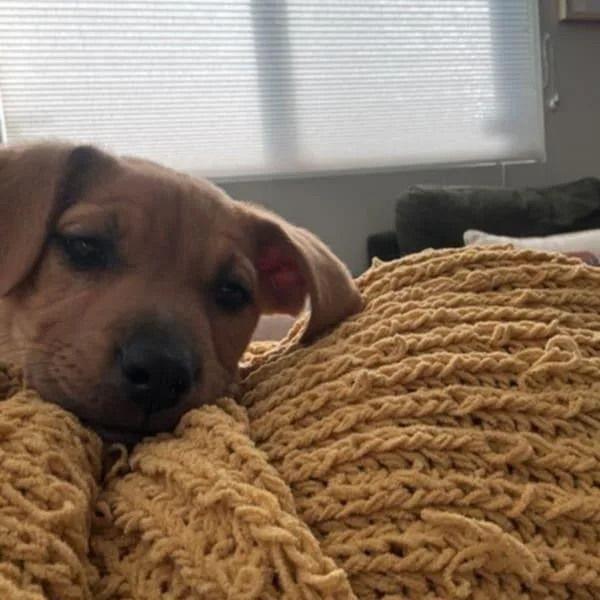 Sparkles thumbnail 2