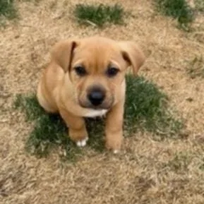 Sparkles thumbnail 3