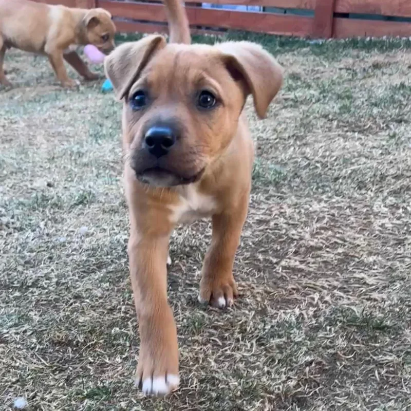 Sparkles thumbnail 4