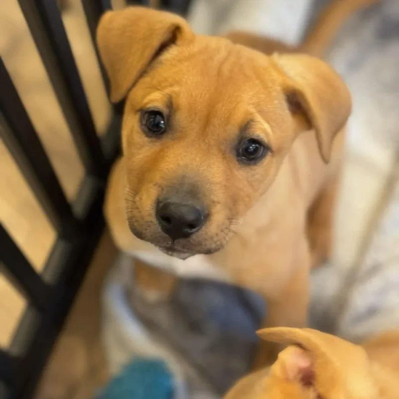 Sparkles thumbnail 5