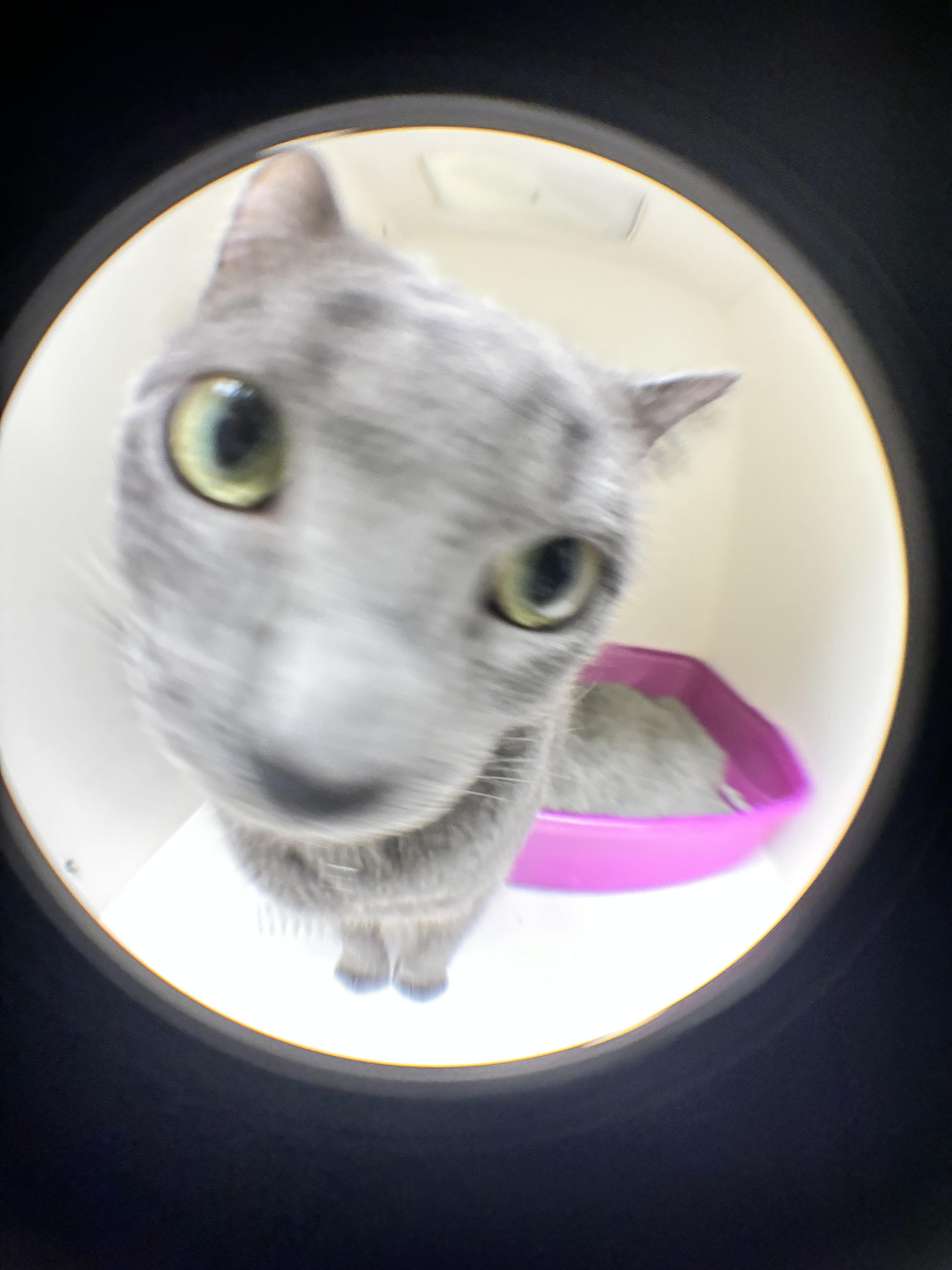 Sabrina thumbnail 5