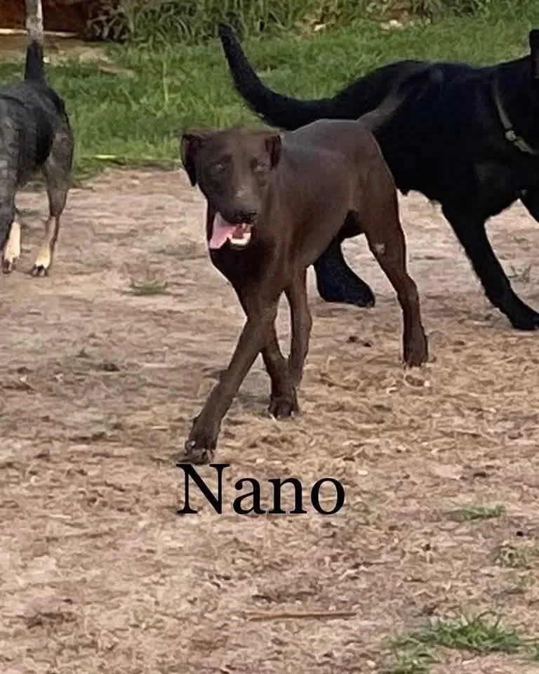 Nano
