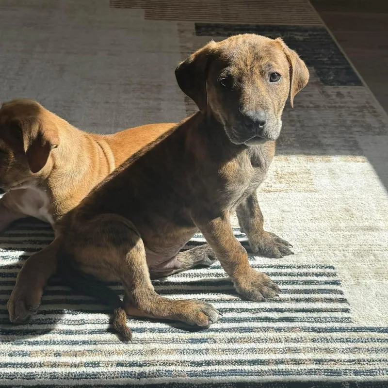 Jonathan thumbnail 2