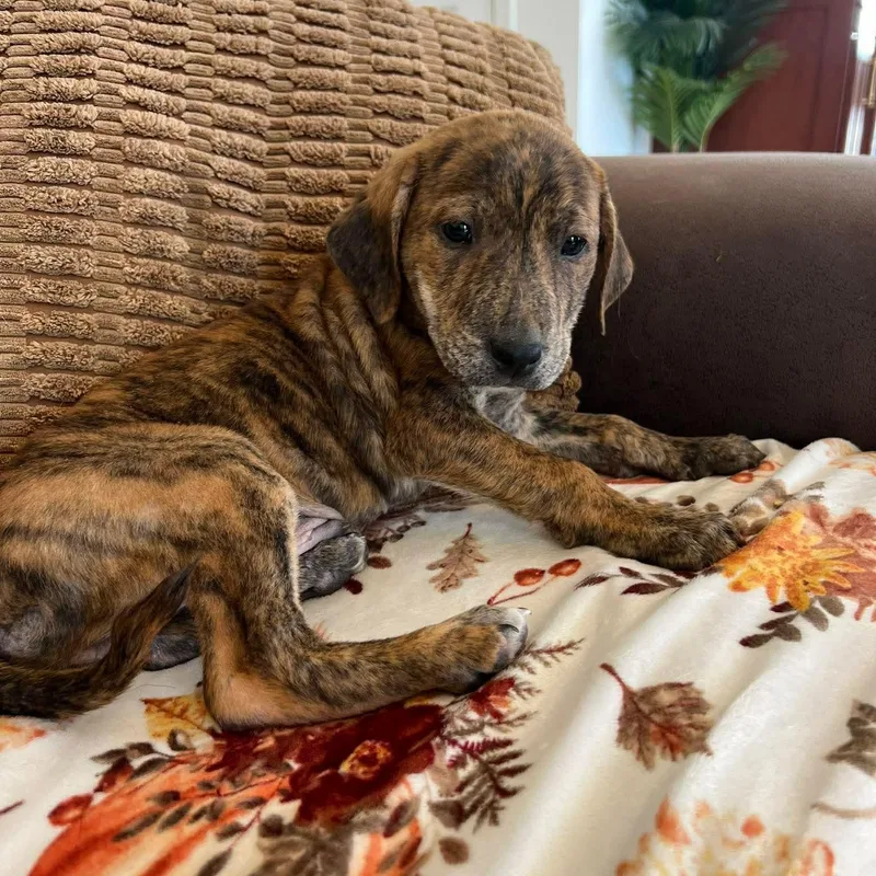 Jonathan thumbnail 3