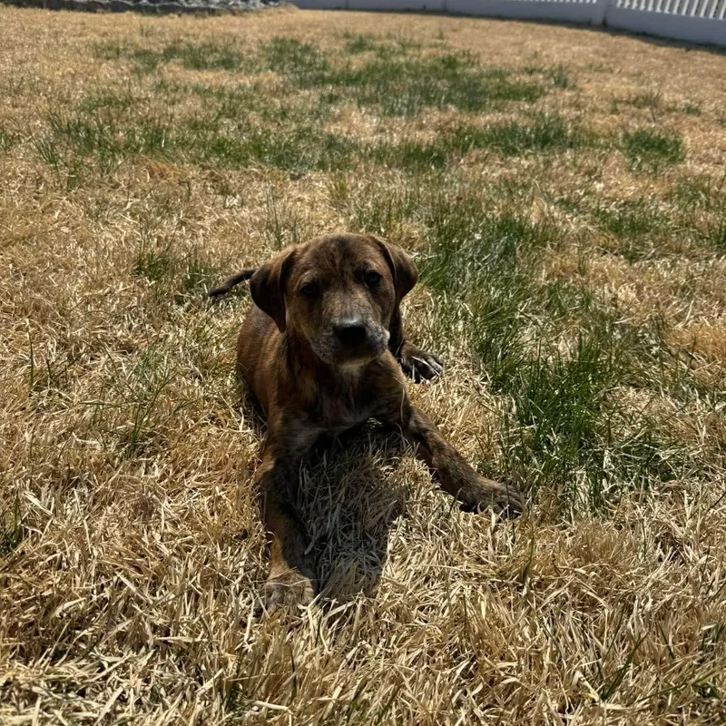 Jonathan thumbnail 4