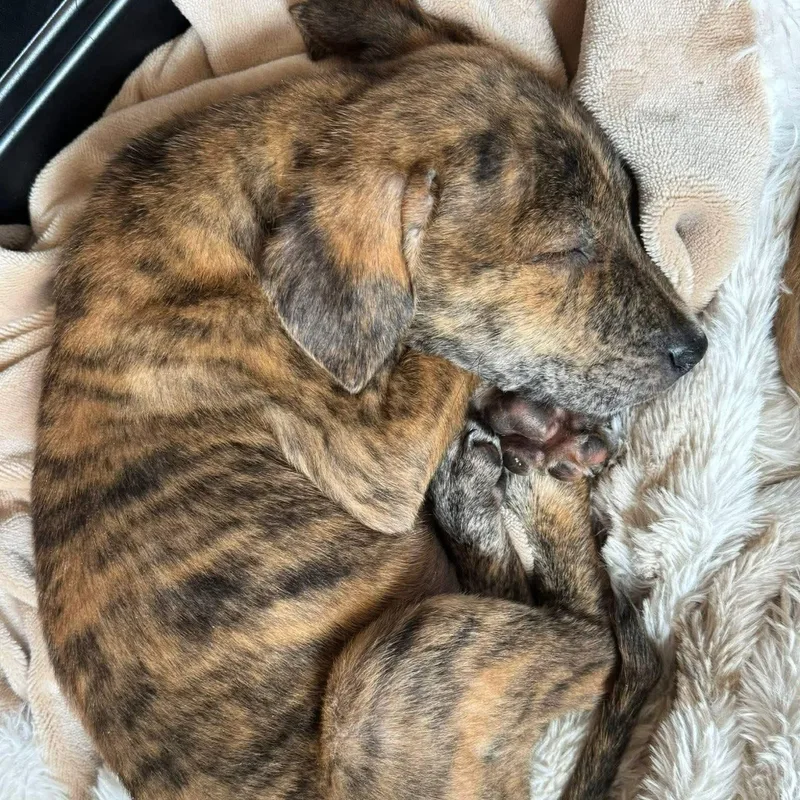 Jonathan thumbnail 5