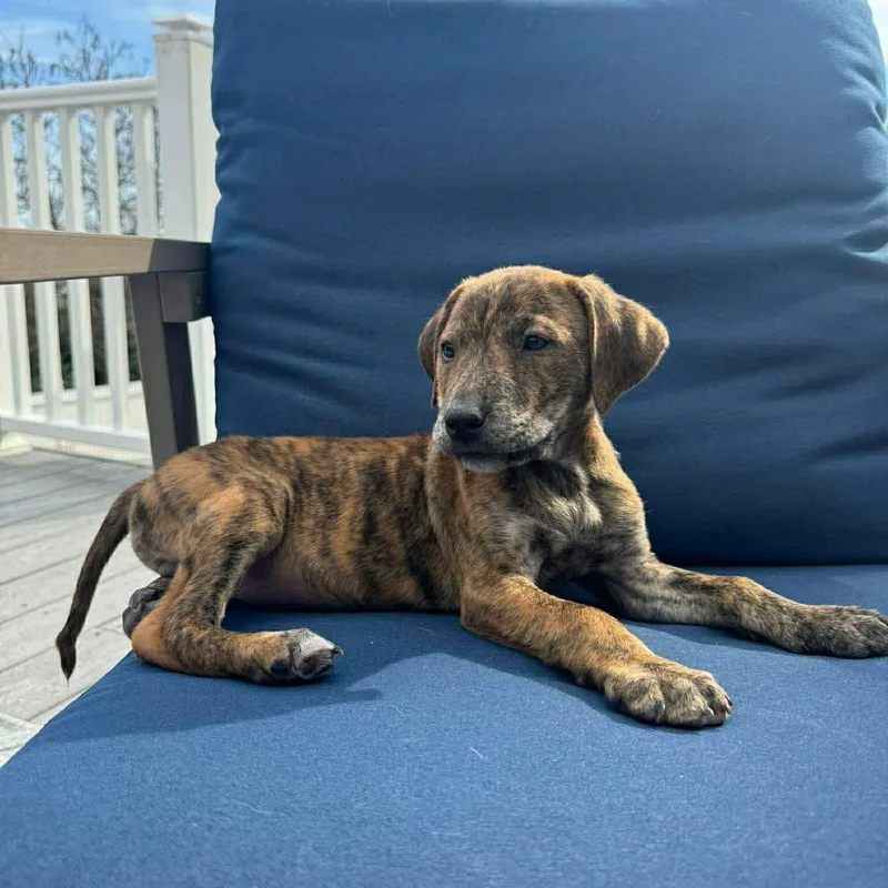 Jonathan thumbnail 6