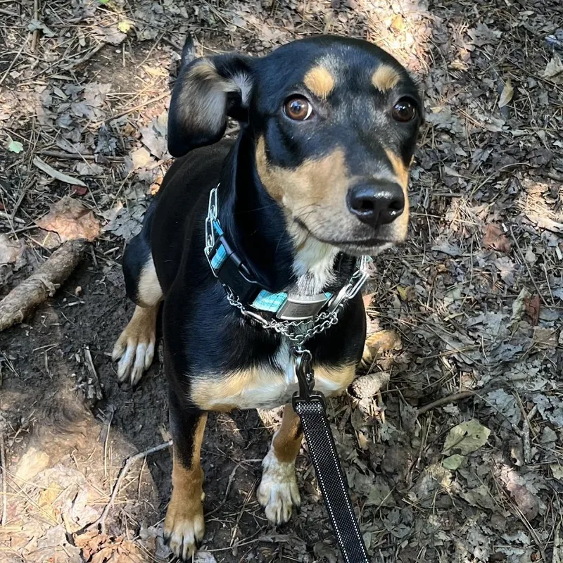 Winnie