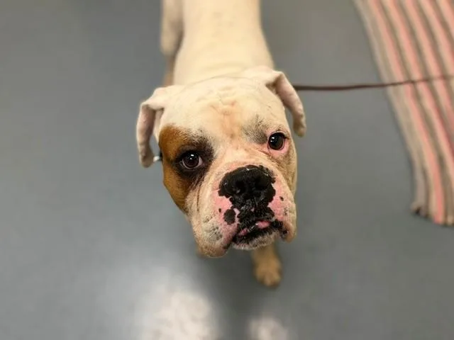 Max