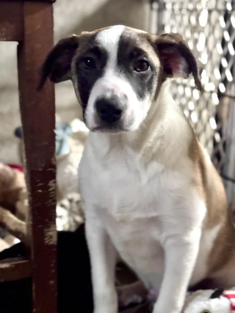 Tucker Wagmor thumbnail 2