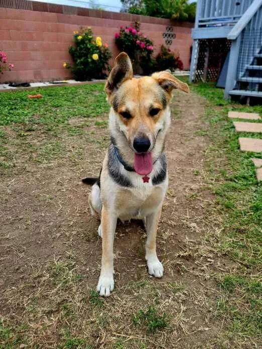 Let's Go  Tango!! thumbnail 2