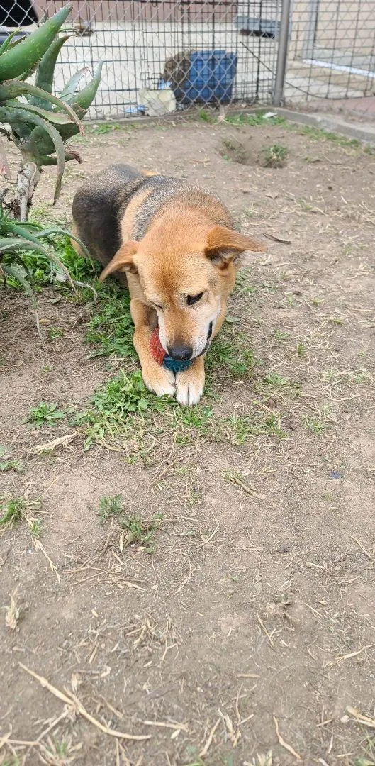 Let's Go  Tango!! thumbnail 3