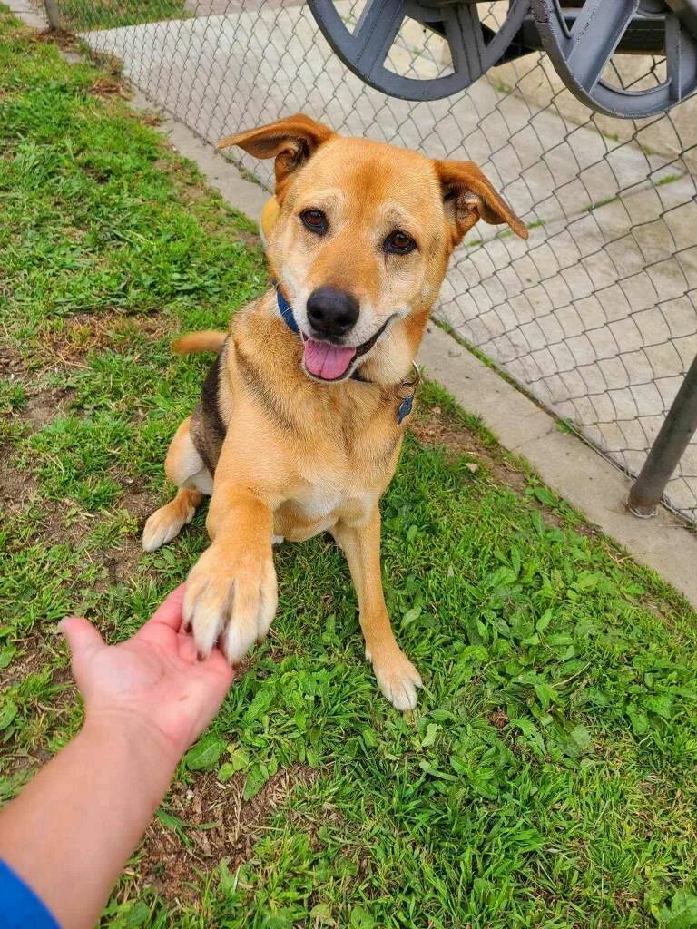 Let's Go  Tango!! thumbnail 4