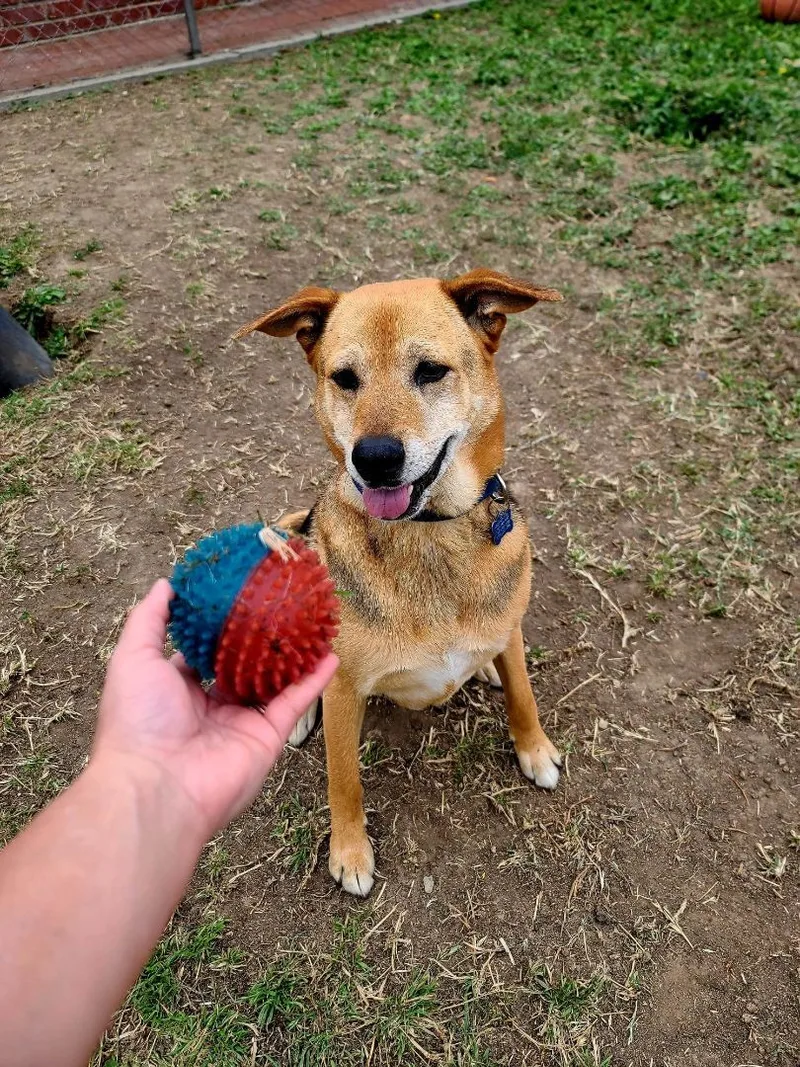 Let's Go  Tango!! thumbnail 6