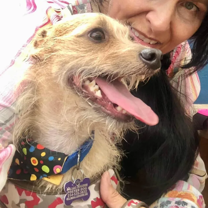 Francis "ford" Coppola Thegivingday thumbnail 4