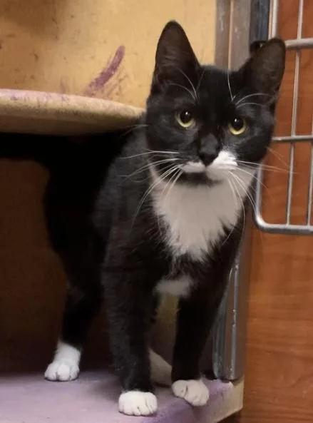 Precious &  Grace thumbnail 2