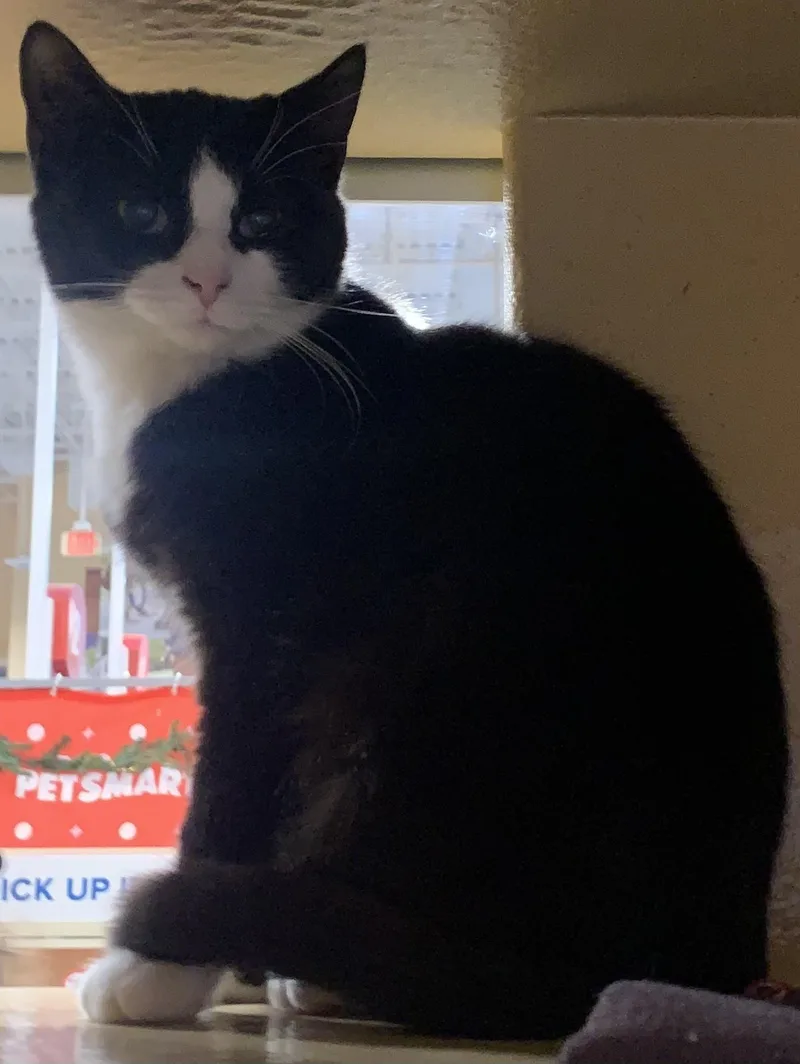 Precious &  Grace thumbnail 3